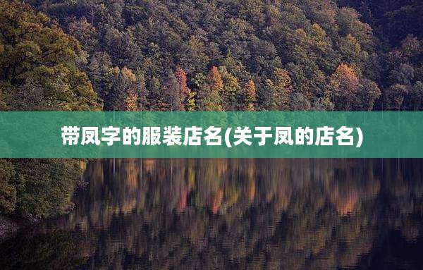 带凤字的服装店名(关于凤的店名)