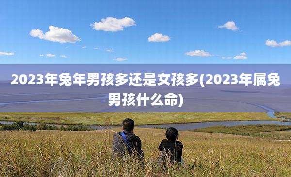 2023年兔年男孩多还是女孩多(2023年属兔男孩什么命)