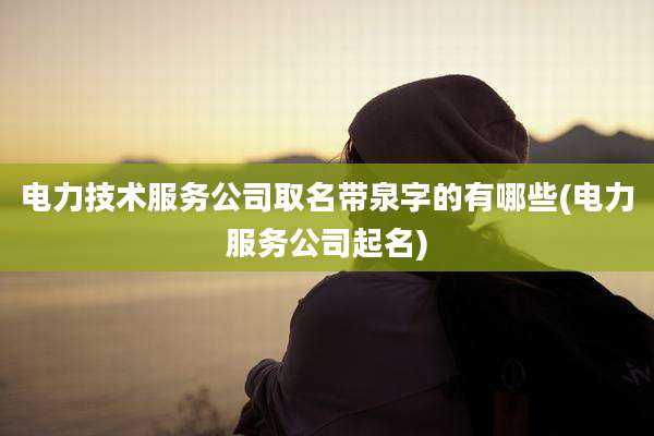 电力技术服务公司取名带泉字的有哪些(电力服务公司起名)