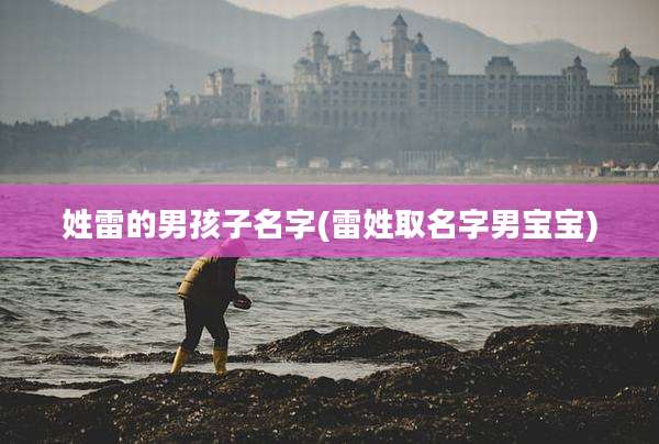 姓雷的男孩子名字(雷姓取名字男宝宝)