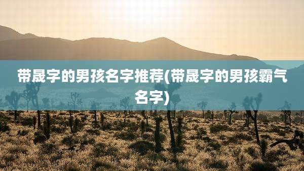 带晟字的男孩名字推荐(带晟字的男孩霸气名字)