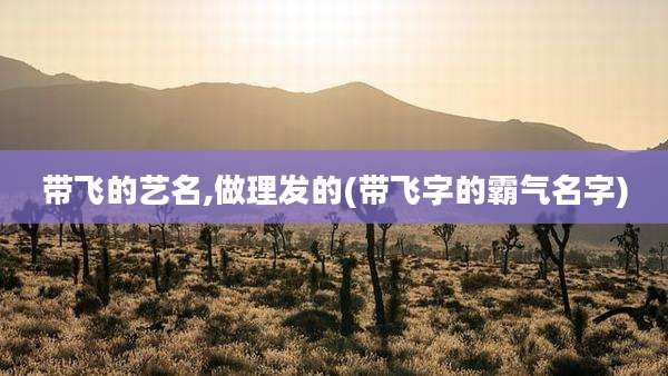 带飞的艺名,做理发的(带飞字的霸气名字)