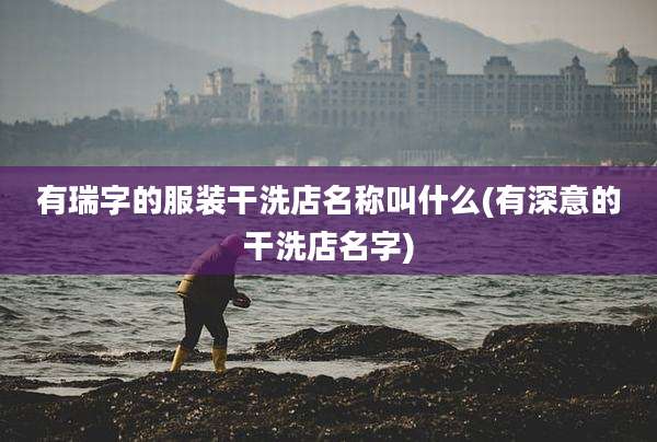 有瑞字的服装干洗店名称叫什么(有深意的干洗店名字)