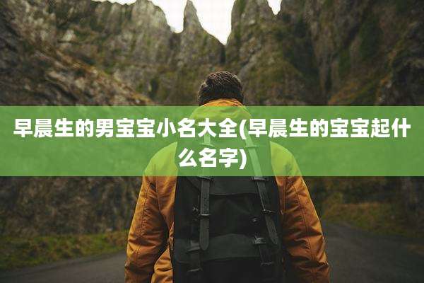早晨生的男宝宝小名大全(早晨生的宝宝起什么名字)
