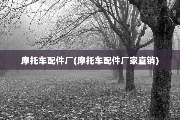 摩托车配件厂(摩托车配件厂家直销)