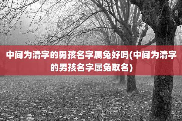 中间为清字的男孩名字属兔好吗(中间为清字的男孩名字属兔取名)