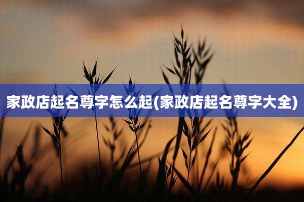 家政店起名尊字怎么起(家政店起名尊字大全)