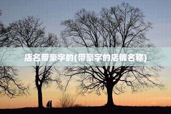 店名带豪字的(带豪字的店铺名称)