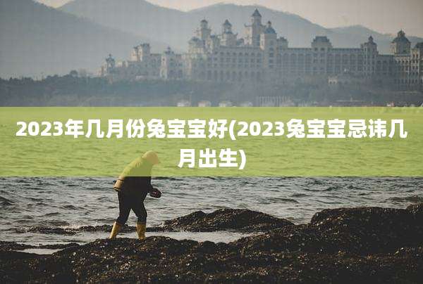 2023年几月份兔宝宝好(2023兔宝宝忌讳几月出生)
