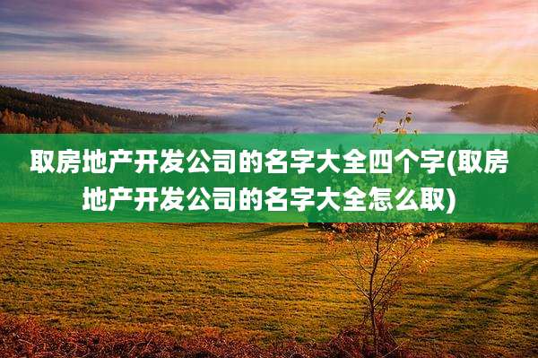 取房地产开发公司的名字大全四个字(取房地产开发公司的名字大全怎么取)