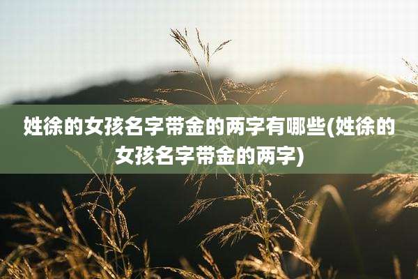 姓徐的女孩名字带金的两字有哪些(姓徐的女孩名字带金的两字)