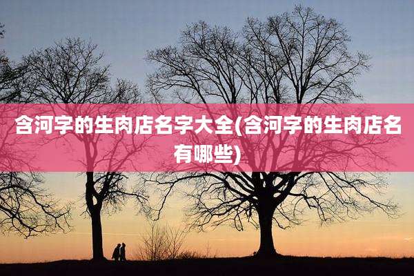 含河字的生肉店名字大全(含河字的生肉店名有哪些)