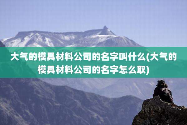 大气的模具材料公司的名字叫什么(大气的模具材料公司的名字怎么取)