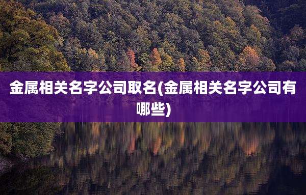 金属相关名字公司取名(金属相关名字公司有哪些)
