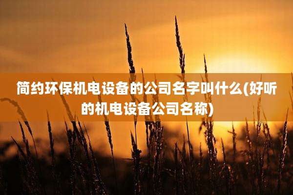 简约环保机电设备的公司名字叫什么(好听的机电设备公司名称)