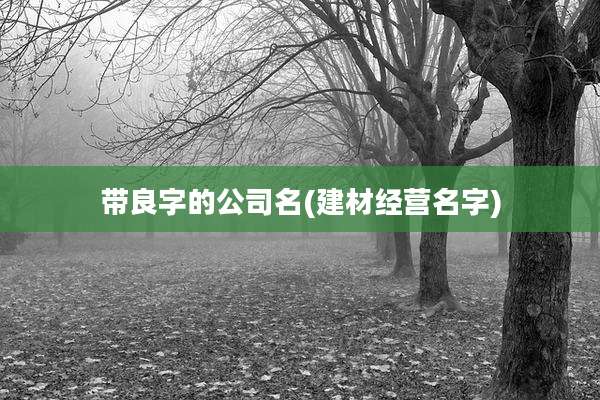 带良字的公司名(建材经营名字)