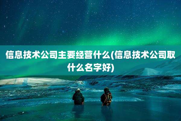 信息技术公司主要经营什么(信息技术公司取什么名字好)