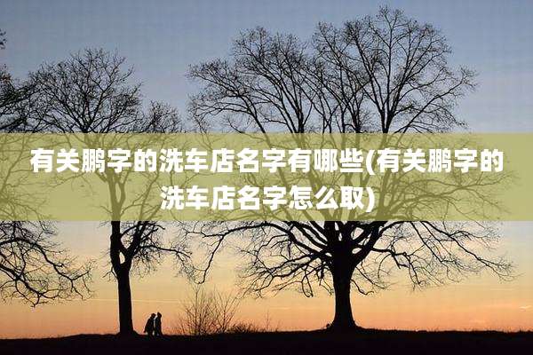 有关鹏字的洗车店名字有哪些(有关鹏字的洗车店名字怎么取)