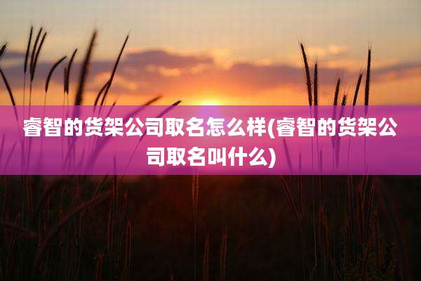 睿智的货架公司取名怎么样(睿智的货架公司取名叫什么)