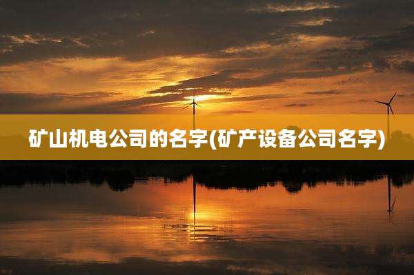 矿山机电公司的名字(矿产设备公司名字)