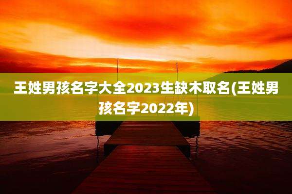 王姓男孩名字大全2023生缺木取名(王姓男孩名字2022年)