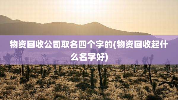 物资回收公司取名四个字的(物资回收起什么名字好)