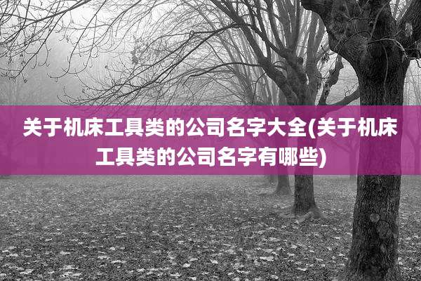 关于机床工具类的公司名字大全(关于机床工具类的公司名字有哪些)