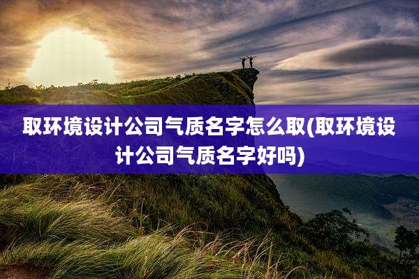 取环境设计公司气质名字怎么取(取环境设计公司气质名字好吗)