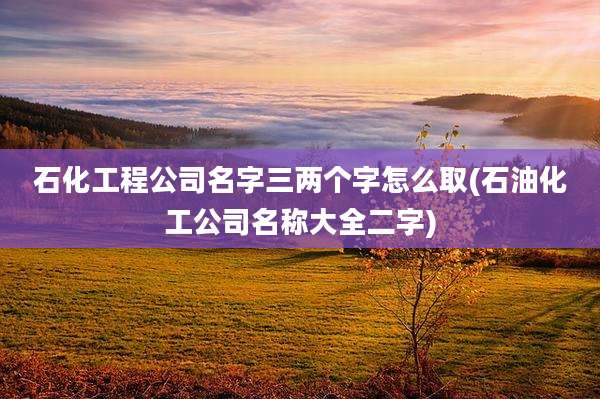石化工程公司名字三两个字怎么取(石油化工公司名称大全二字)