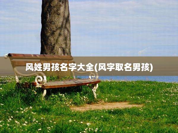 风姓男孩名字大全(风字取名男孩)