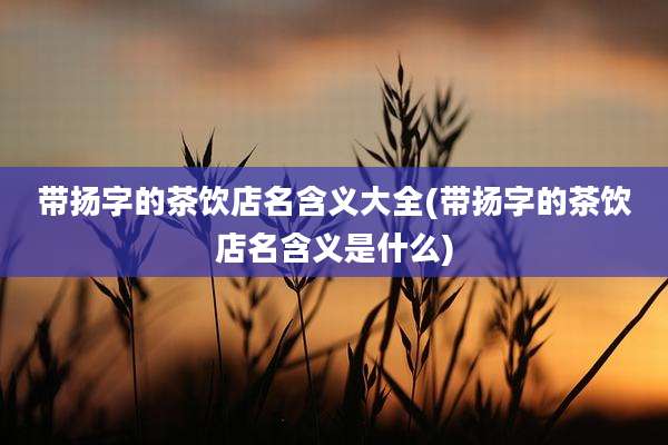 带扬字的茶饮店名含义大全(带扬字的茶饮店名含义是什么)