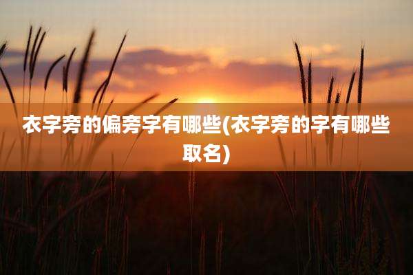 衣字旁的偏旁字有哪些(衣字旁的字有哪些取名)