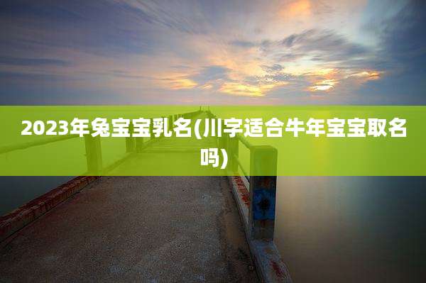 2023年兔宝宝乳名(川字适合牛年宝宝取名吗)