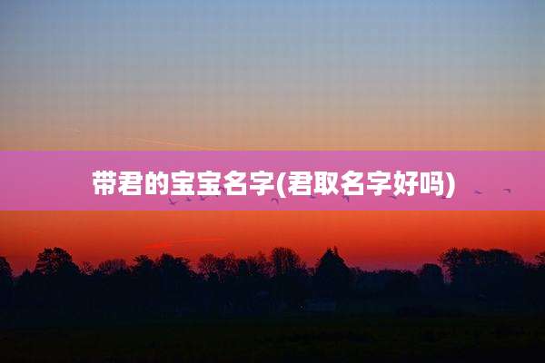带君的宝宝名字(君取名字好吗)