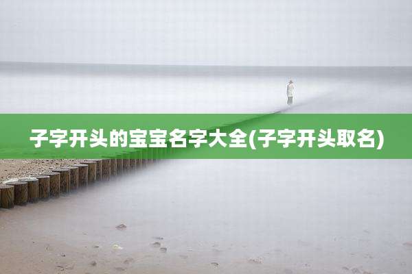 子字开头的宝宝名字大全(子字开头取名)