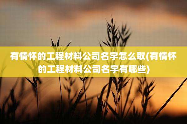 有情怀的工程材料公司名字怎么取(有情怀的工程材料公司名字有哪些)