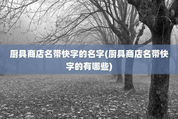 厨具商店名带快字的名字(厨具商店名带快字的有哪些)