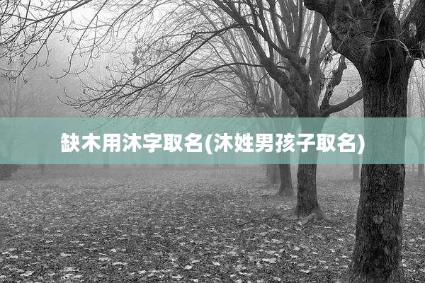 缺木用沐字取名(沐姓男孩子取名)