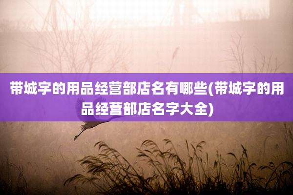 带城字的用品经营部店名有哪些(带城字的用品经营部店名字大全)