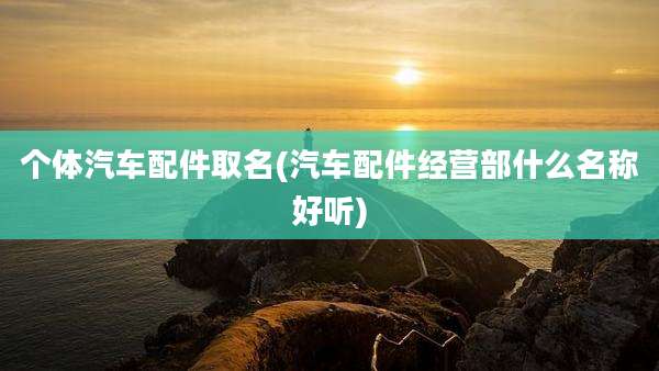 个体汽车配件取名(汽车配件经营部什么名称好听)