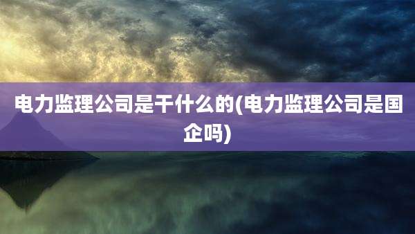 电力监理公司是干什么的(电力监理公司是国企吗)