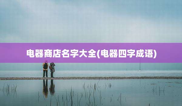 电器商店名字大全(电器四字成语)