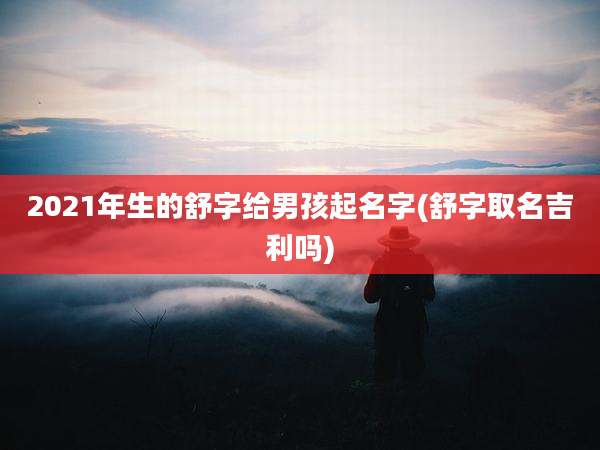 2021年生的舒字给男孩起名字(舒字取名吉利吗)