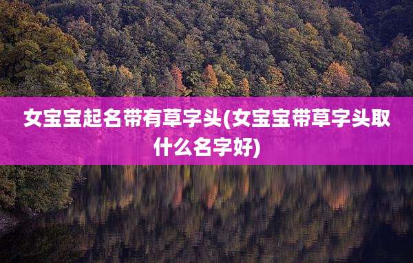 女宝宝起名带有草字头(女宝宝带草字头取什么名字好)