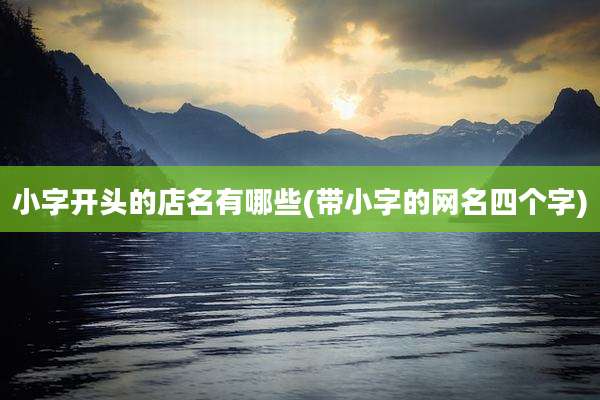 小字开头的店名有哪些(带小字的网名四个字)