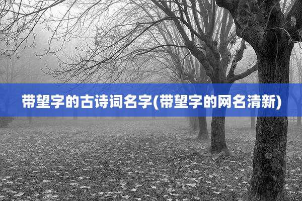 带望字的古诗词名字(带望字的网名清新)