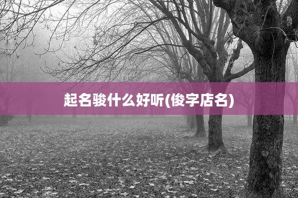 起名骏什么好听(俊字店名)