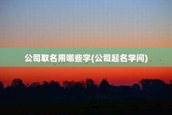 公司取名用哪些字(公司起名学问)