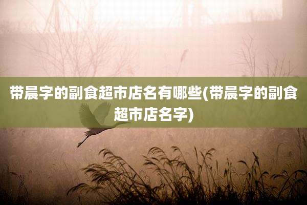 带晨字的副食超市店名有哪些(带晨字的副食超市店名字)