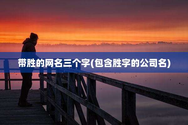 带胜的网名三个字(包含胜字的公司名)